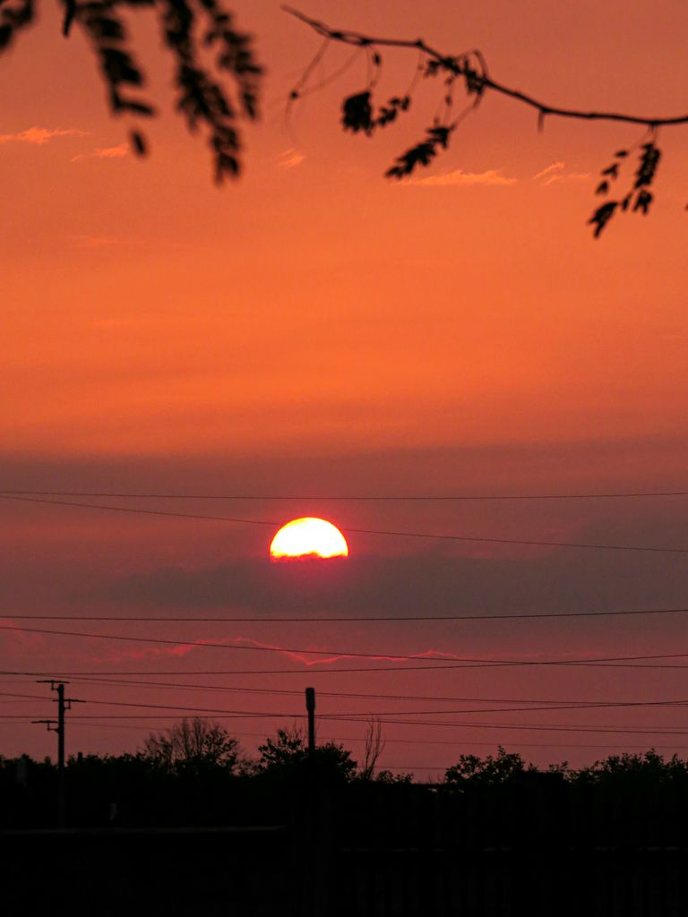 Capture the serene beauty of a sunset with silhouetted trees and vibrant skies.