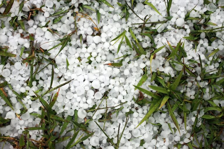 How to File an Insurance Claim for Roof Hail Damage