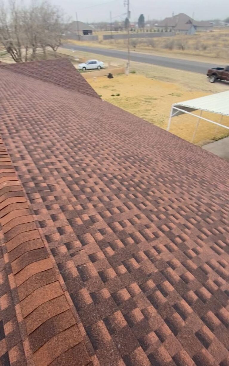 What Those Black Streaks on Your Shingles Really Mean